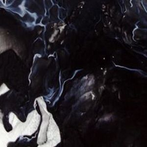 Meet your Posher, Evelyn